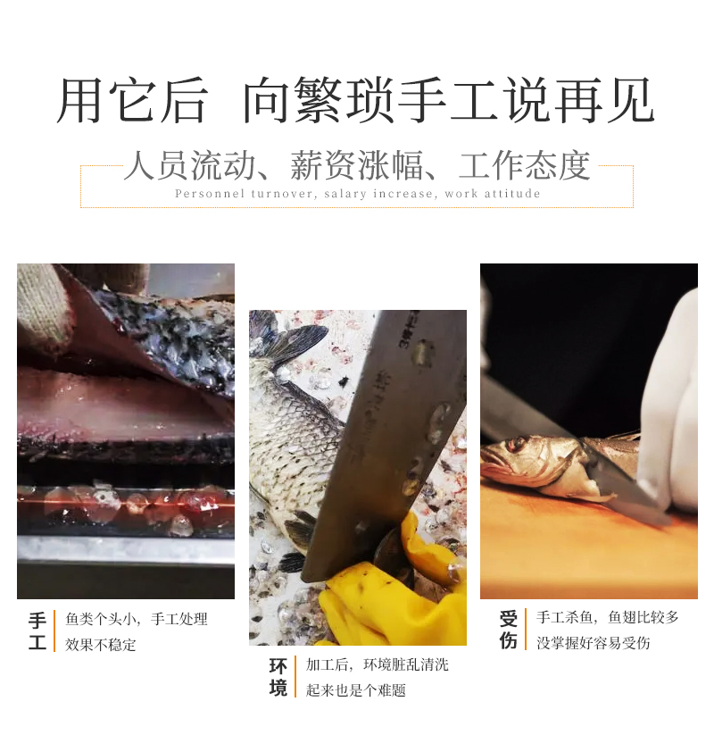 殺魚機(jī)與傳統(tǒng)殺魚對比