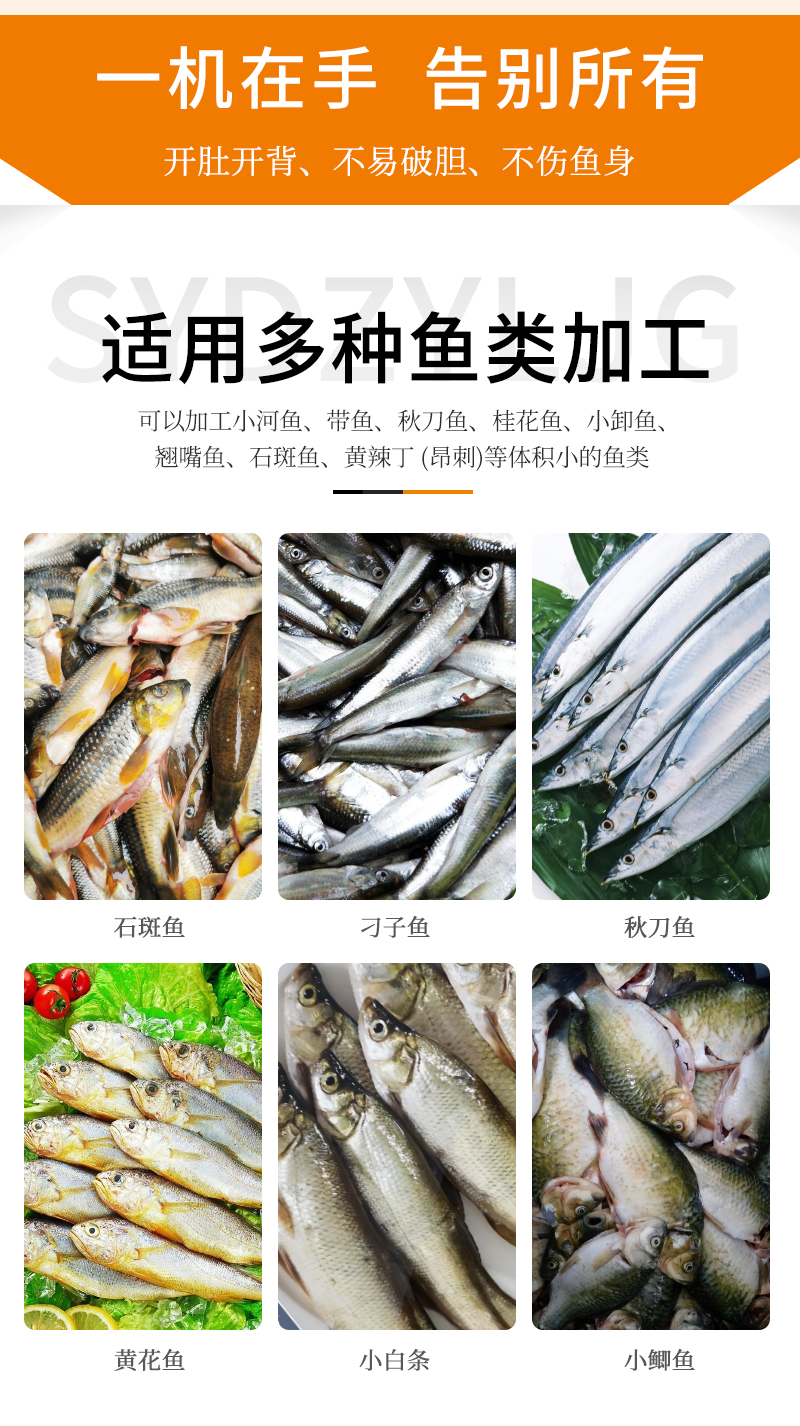 適用多種體積小的魚類加工