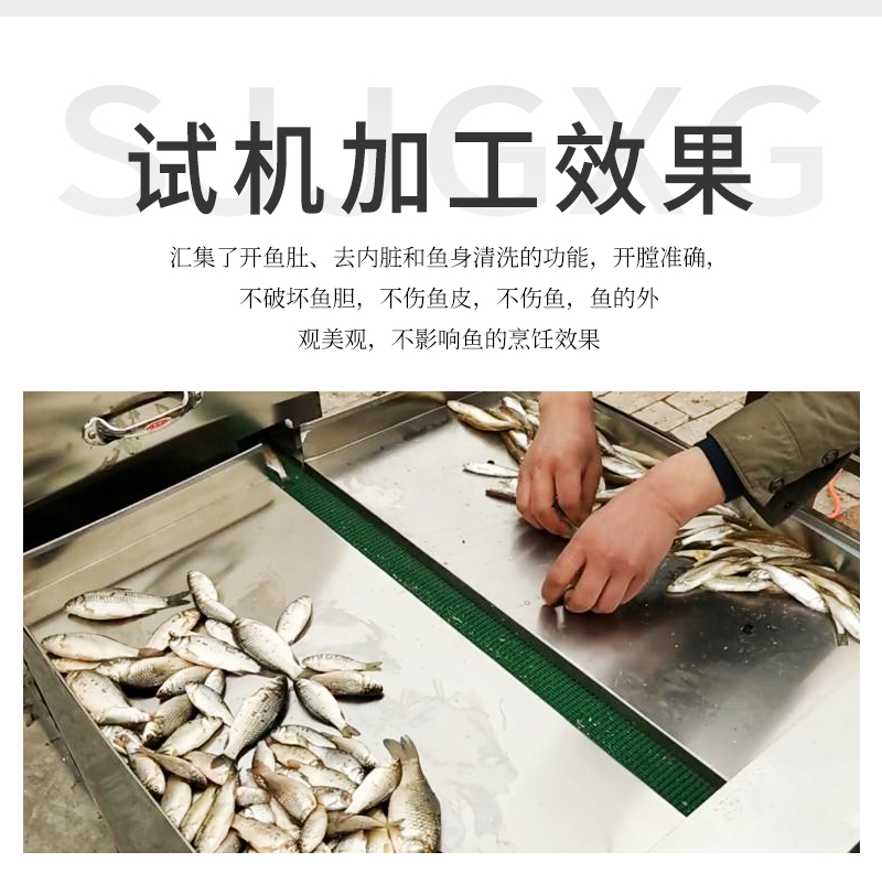 集開魚肚、去內(nèi)臟和魚身清洗等一體的殺小魚機(jī)