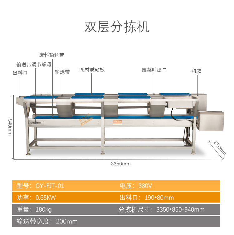 葉菜清洗加工流水線雙層分揀機(jī)